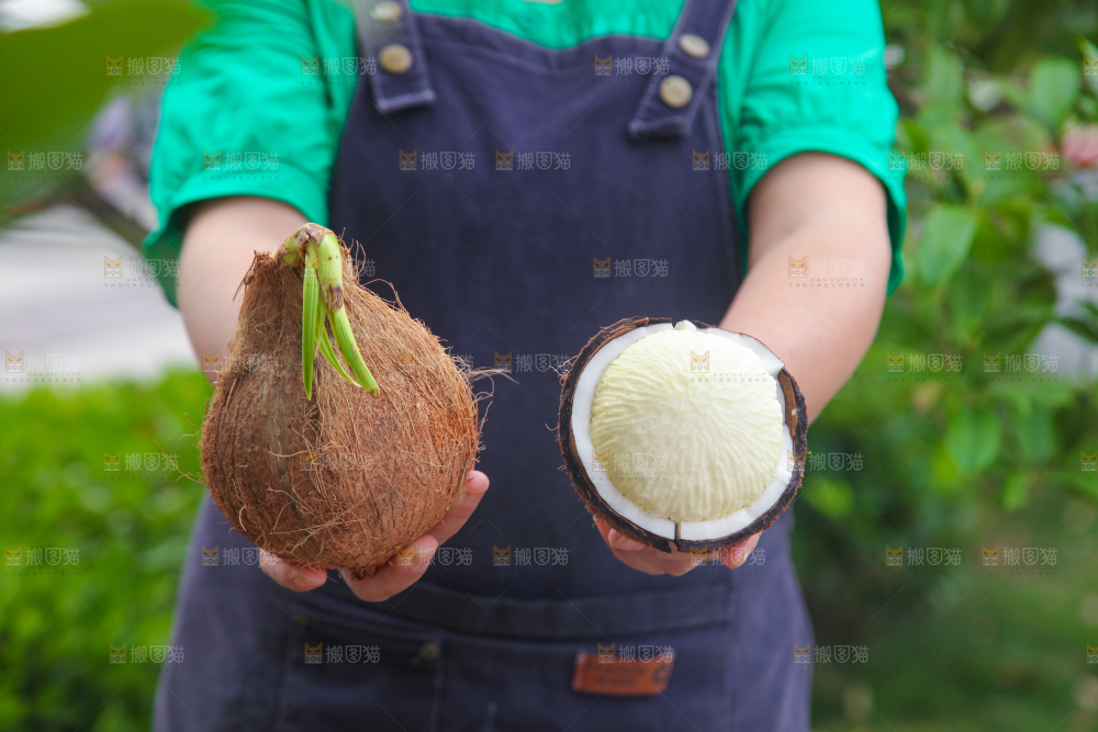 手里拿着海南椰宝