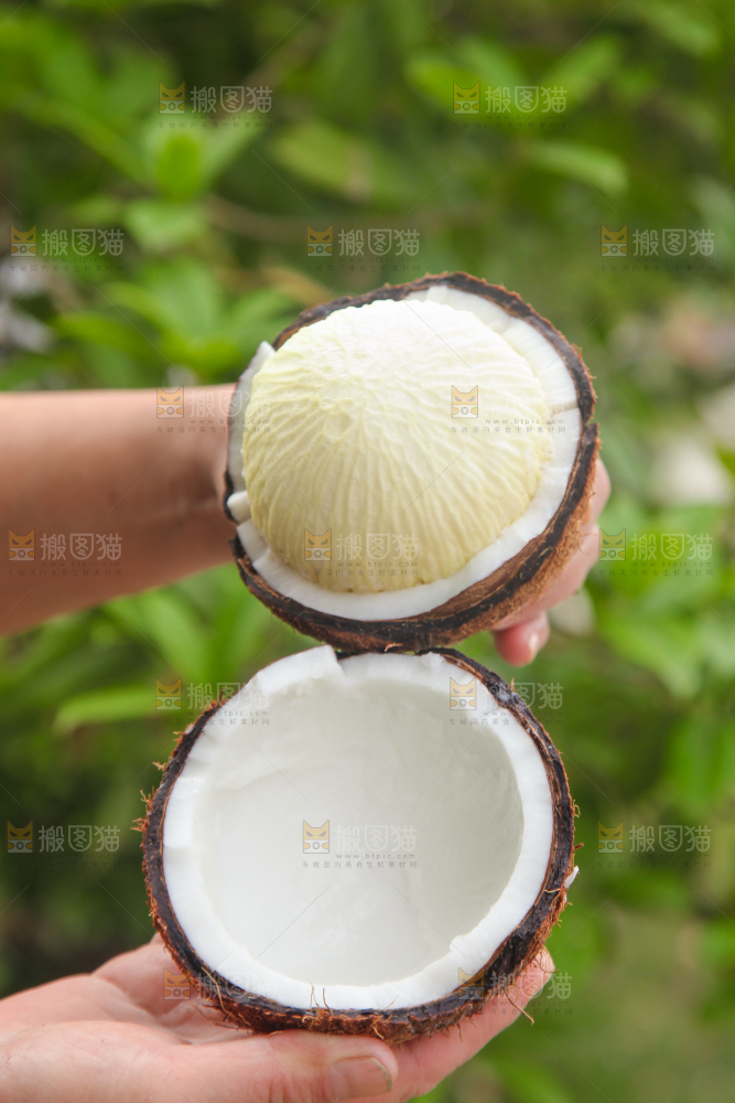 手里拿着掰开的海南椰宝