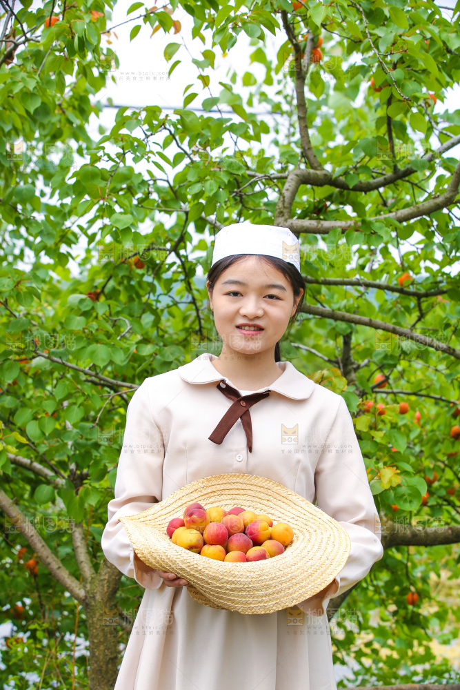 果园里女人拿着红杏