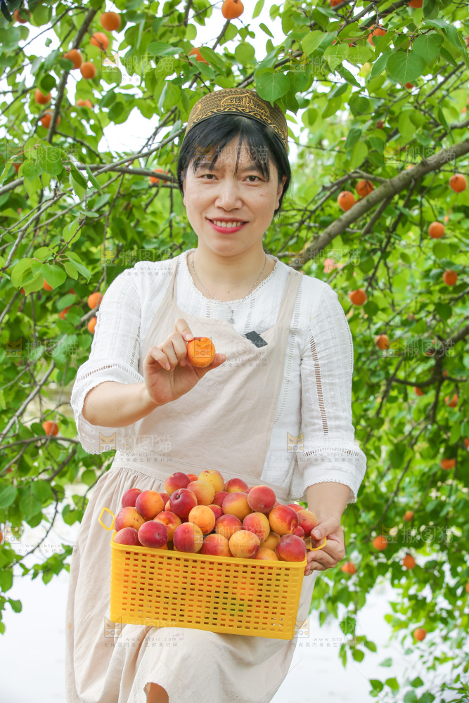 果园里女人手里端着一篮小红杏