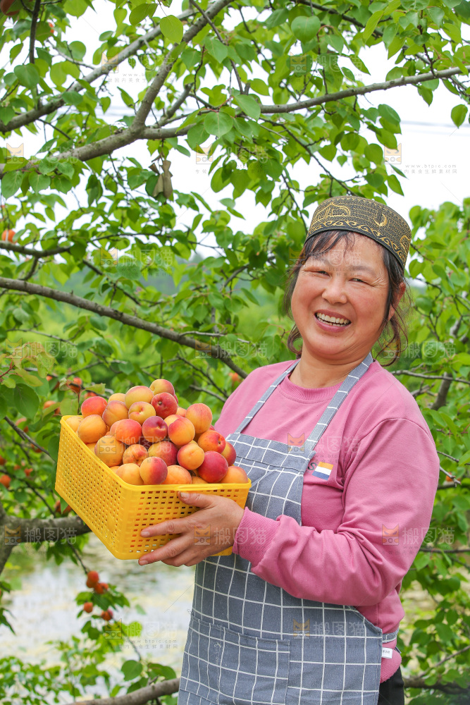 果园里女人手里端着一篮小红杏