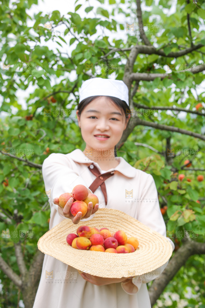 果园里女人拿着红杏