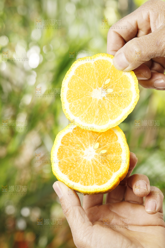 手里拿着湖南黄金贡柚