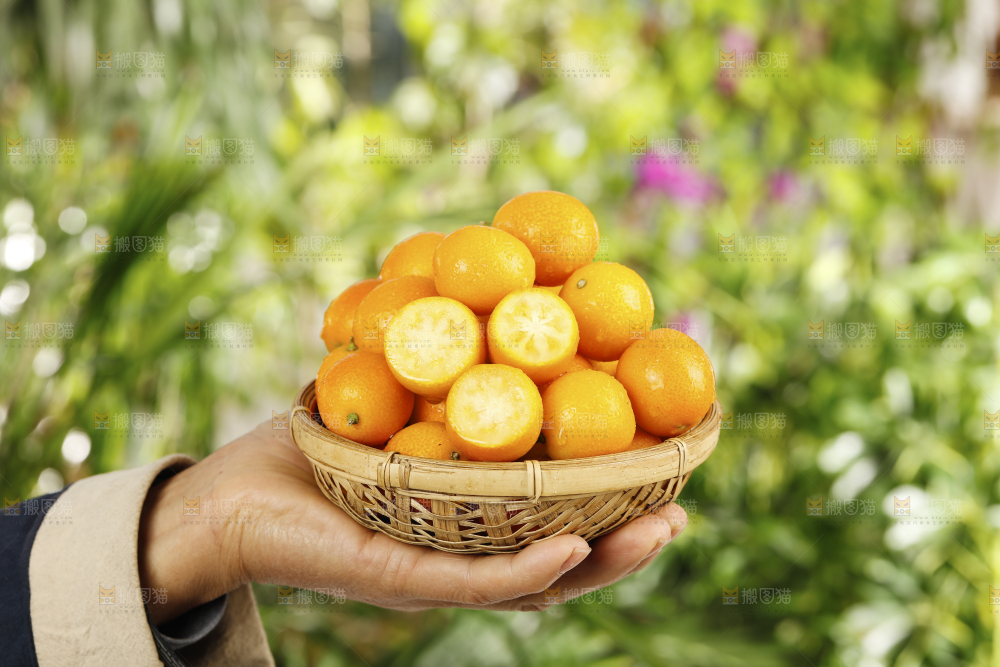 手里端着一篮金桔