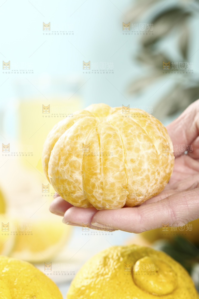 手里拿着贡柚果肉