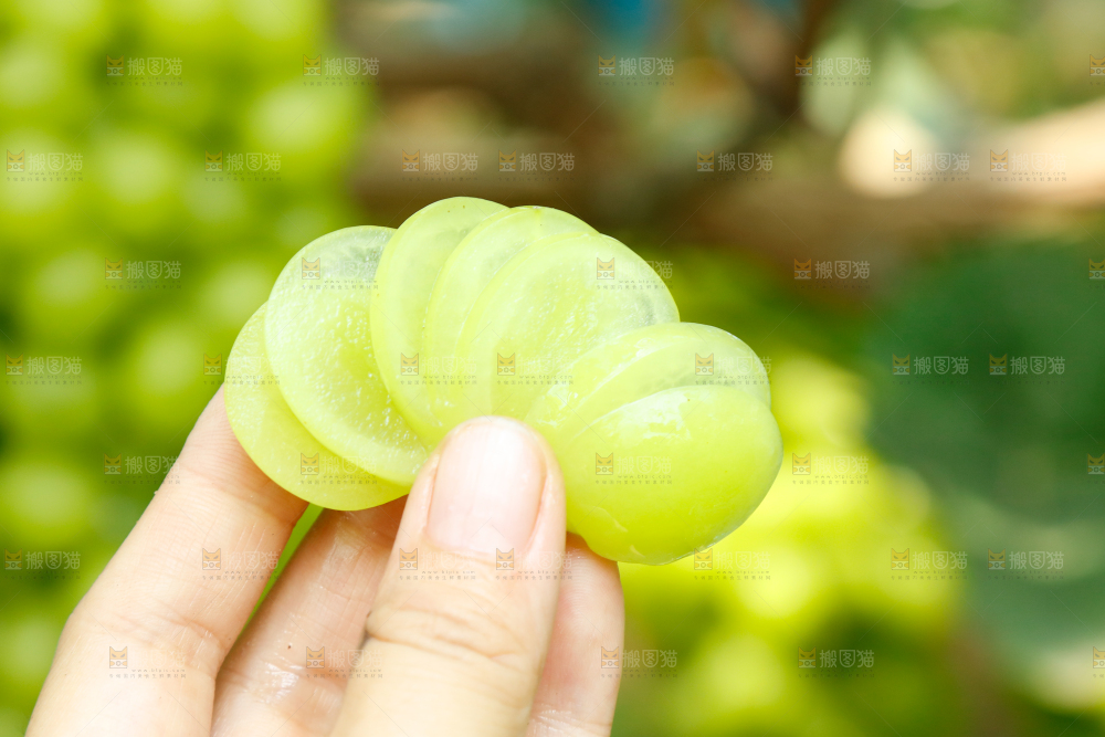 切片的阳光玫瑰葡萄