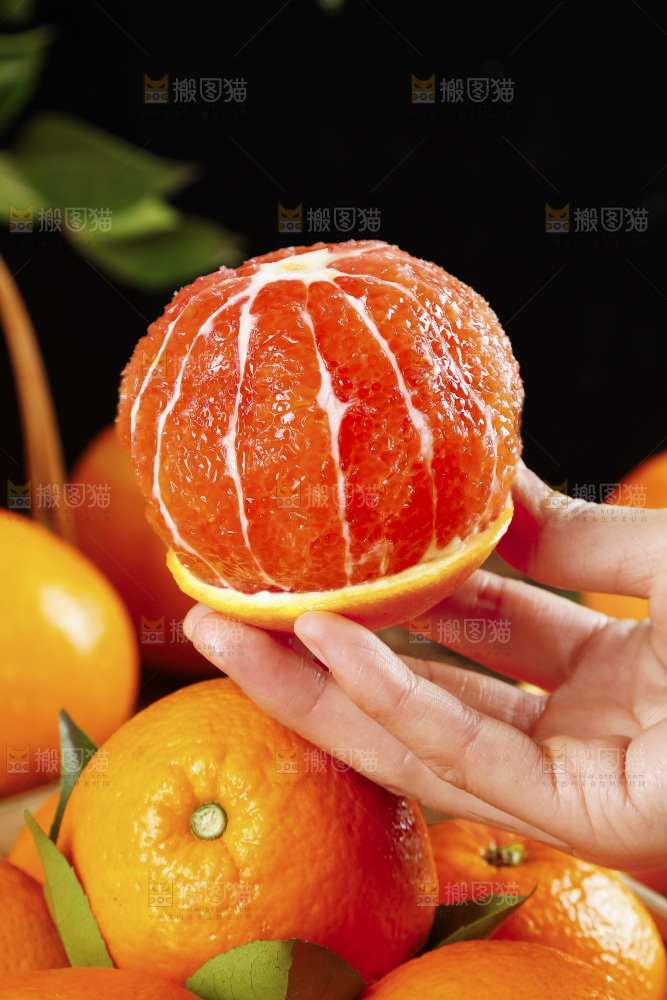 手里拿着中华红血橙