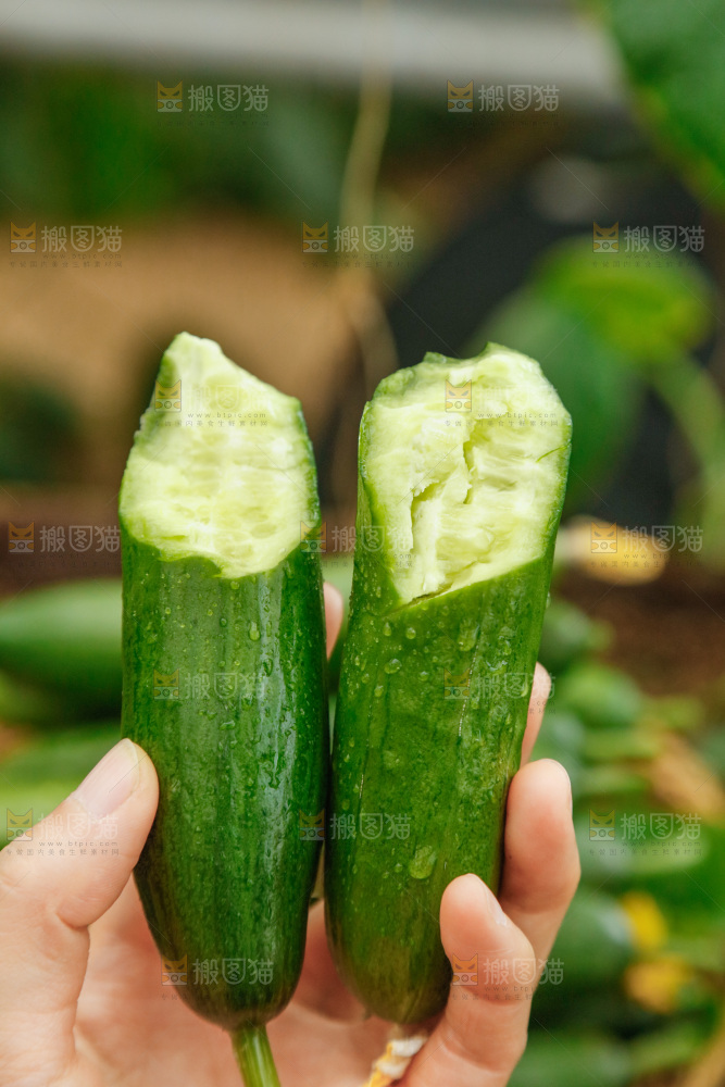 手里拿着掰开的黄瓜