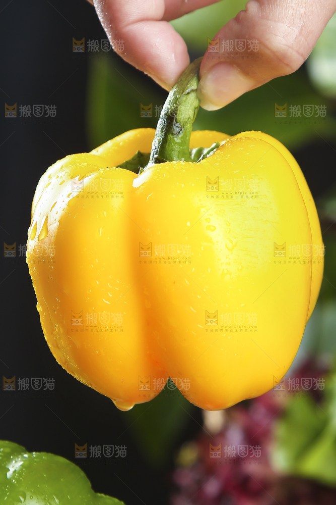 手里拿着黄彩椒