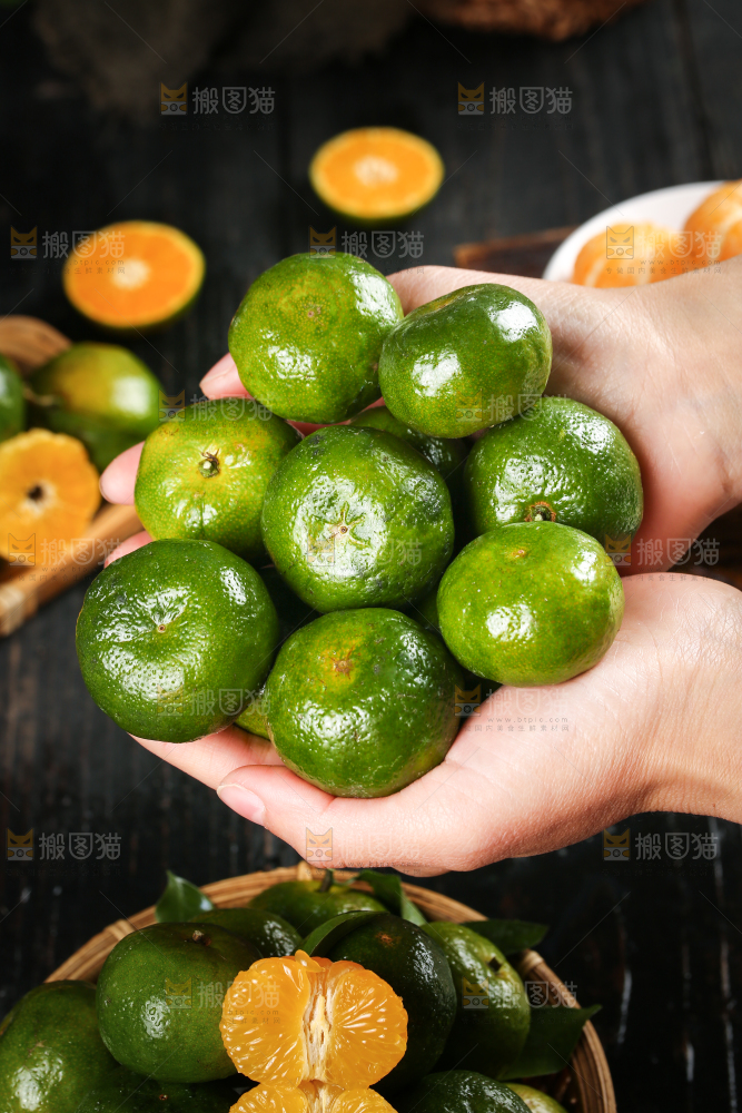 手里捧着广西清香蜜桔