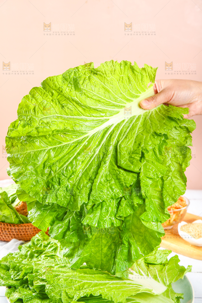 手里拿着东北大白菜叶子