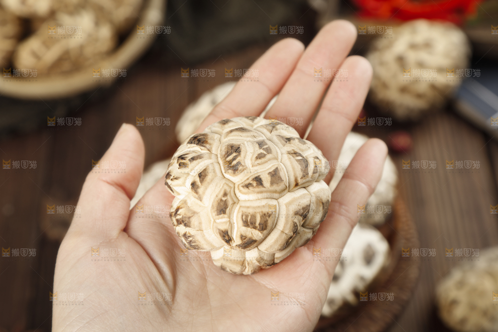 手里拿着花菇