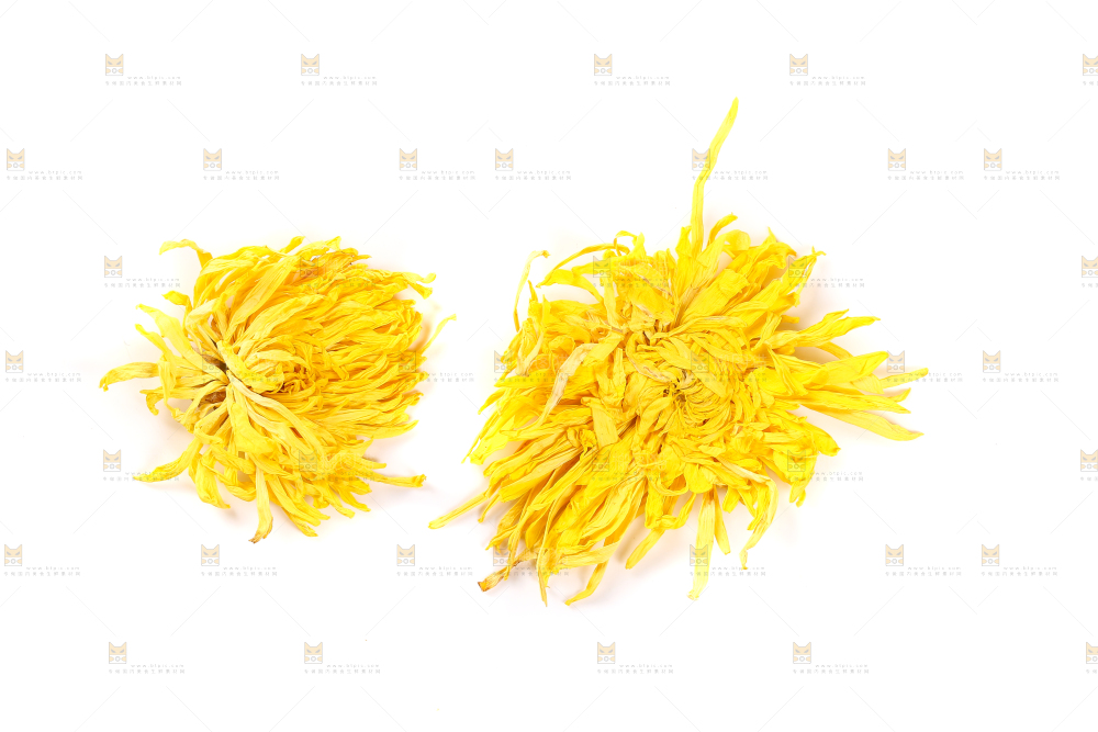 白底上放着贡菊