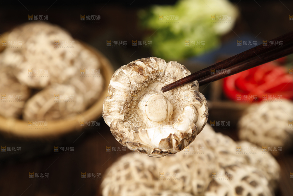 筷子上夹着干花菇