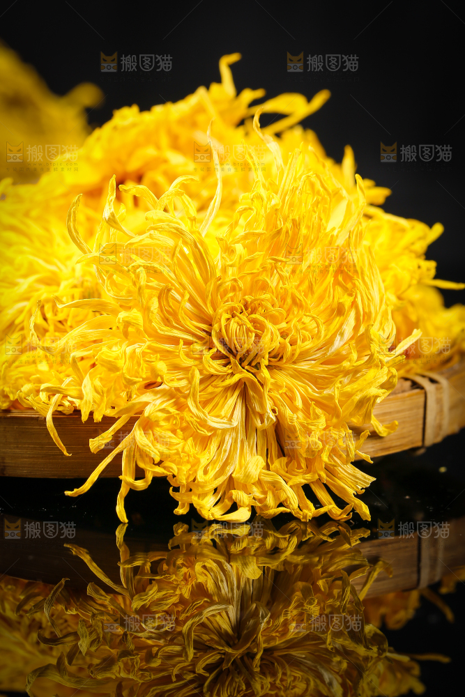 篮子里装着菊花