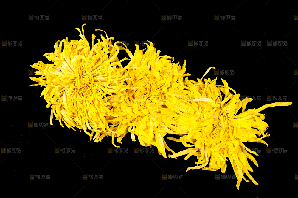 黑底上放着金丝皇菊