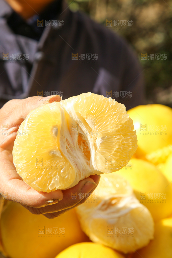 手里拿着黄金葡萄柚果肉