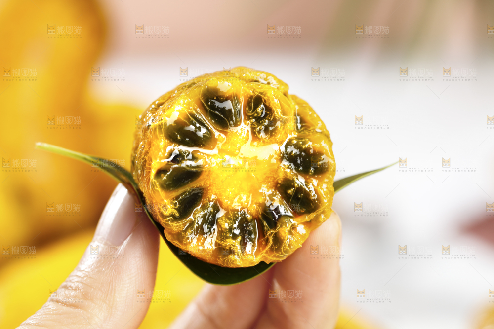 手里拿着九月瓜果肉