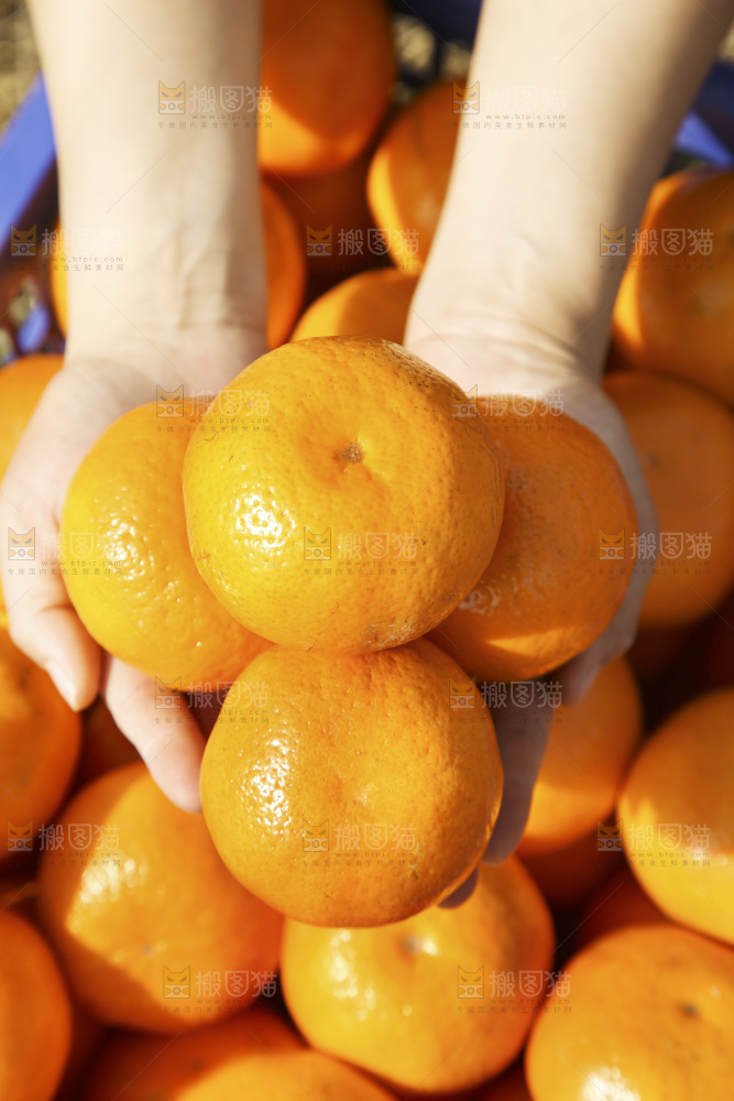 手里捧着广西沃柑