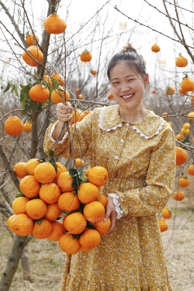 果园女人手里拿着两串丑橘