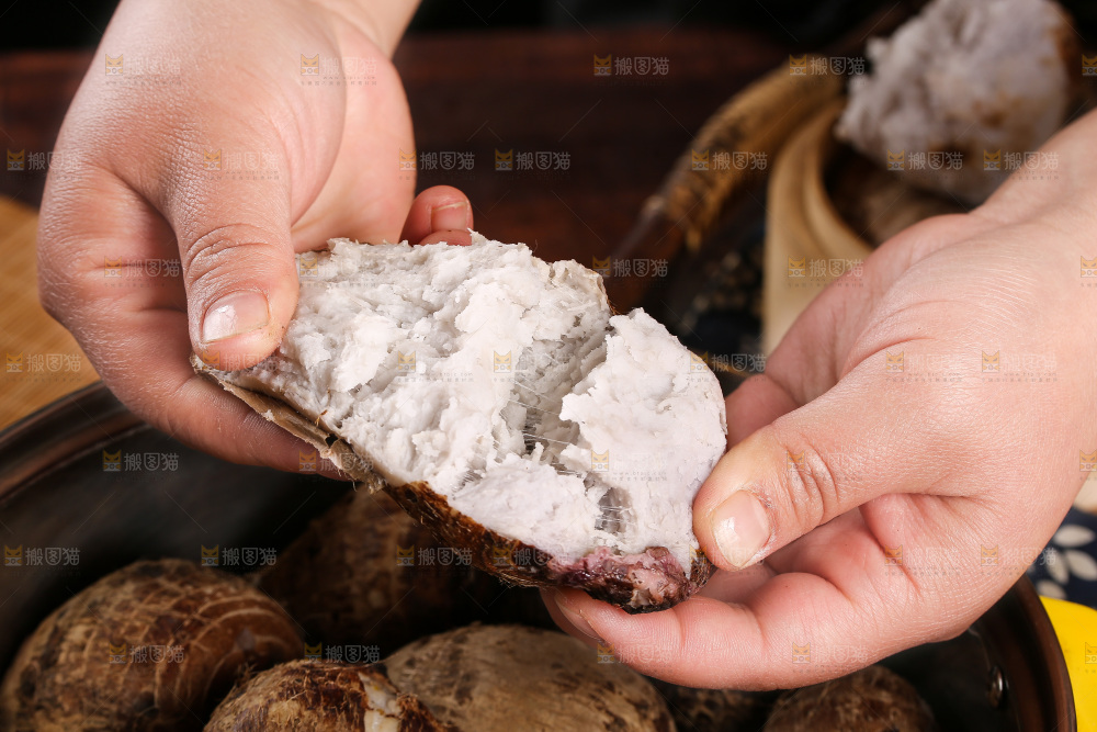 手里拿着红芽小芋头