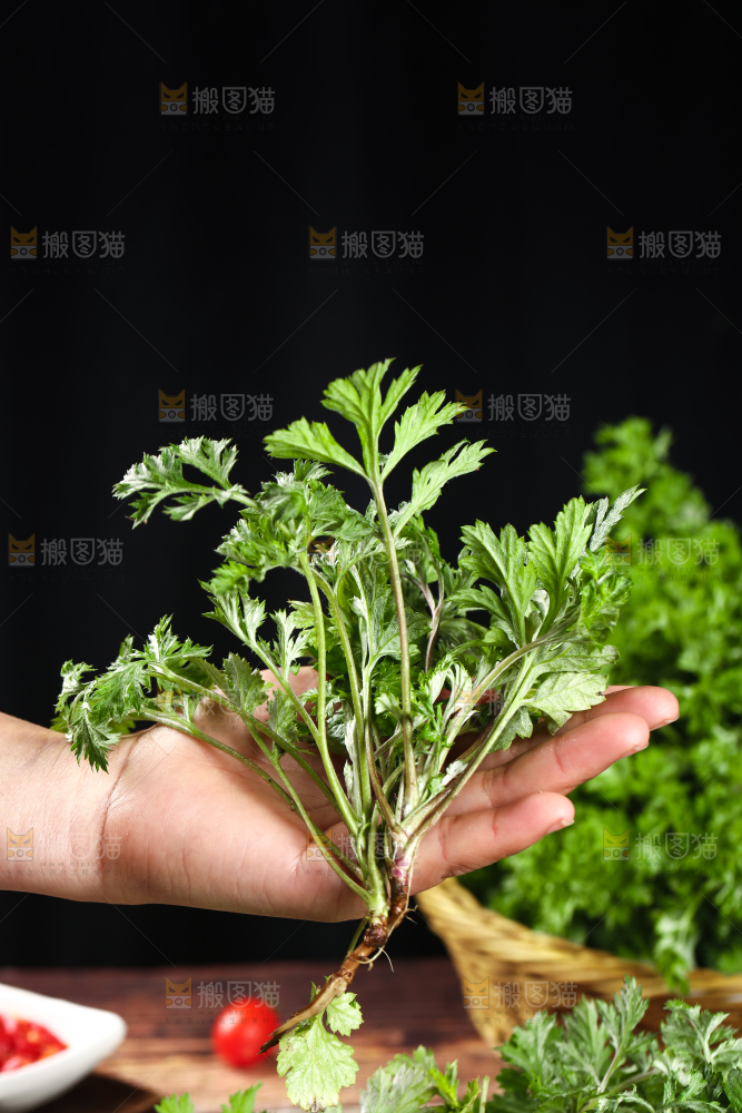 手里拿着新鲜艾草