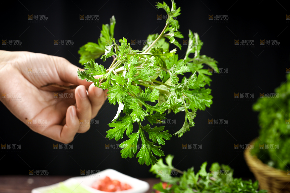 手里拿着艾草叶