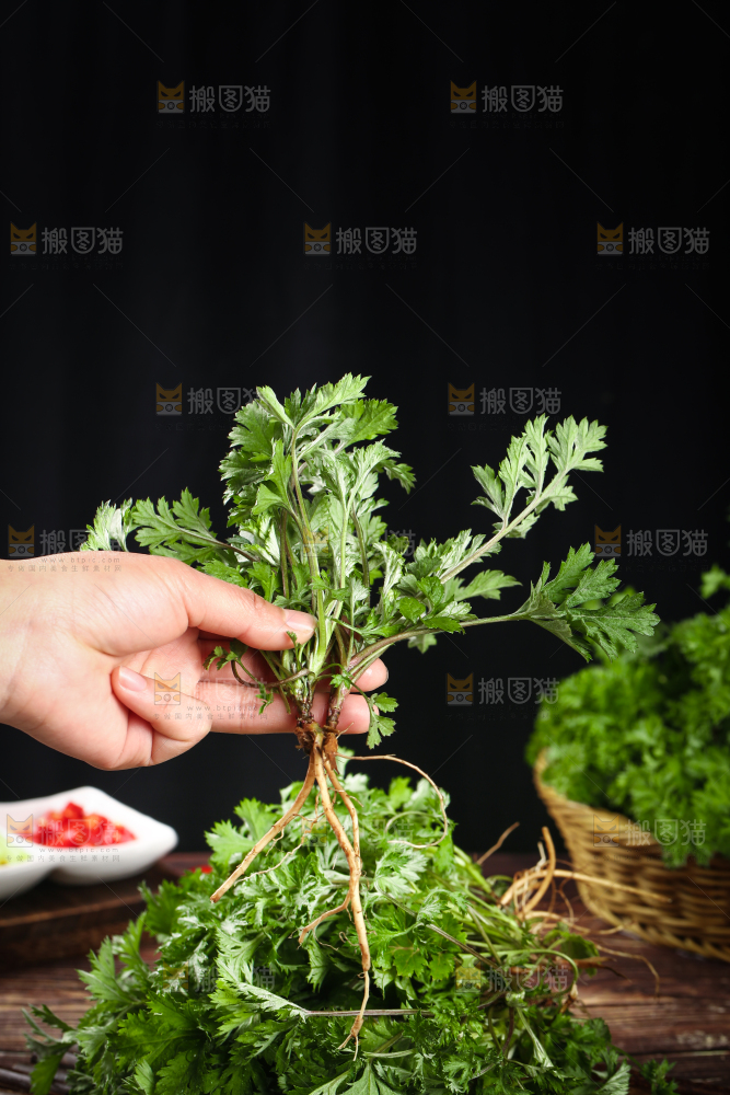 手里拿着艾草叶