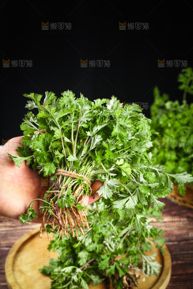 手里拿着新鲜艾草