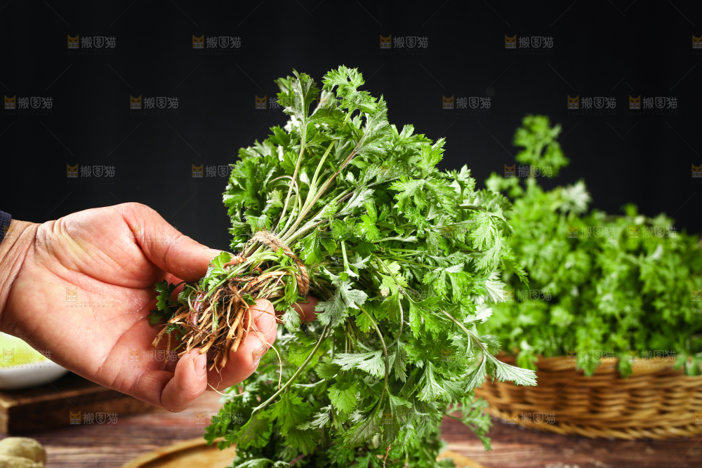 手里拿着新鲜艾草