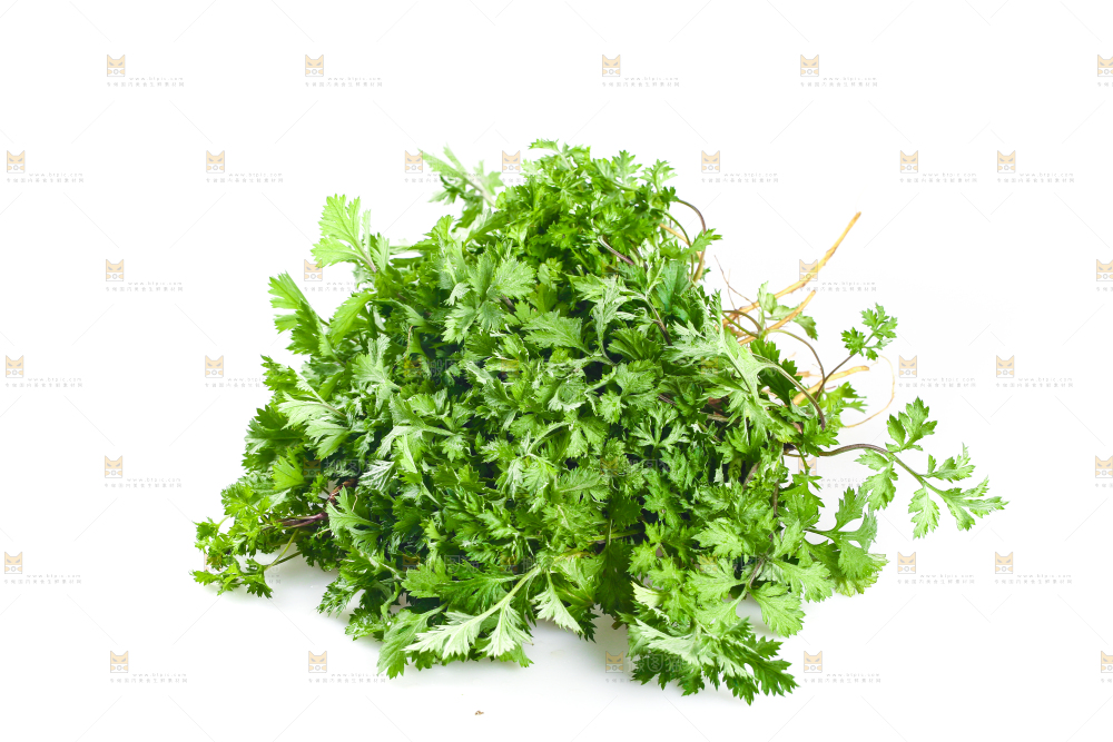 白底上的艾蒿草