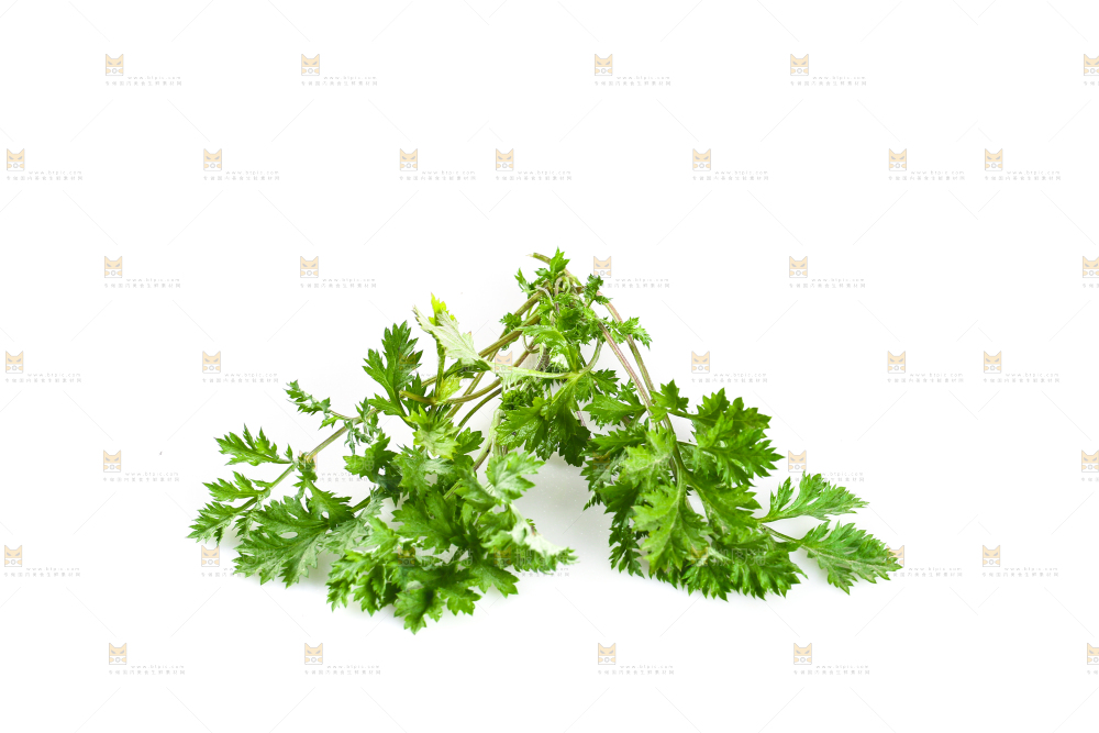 白底上的艾蒿草