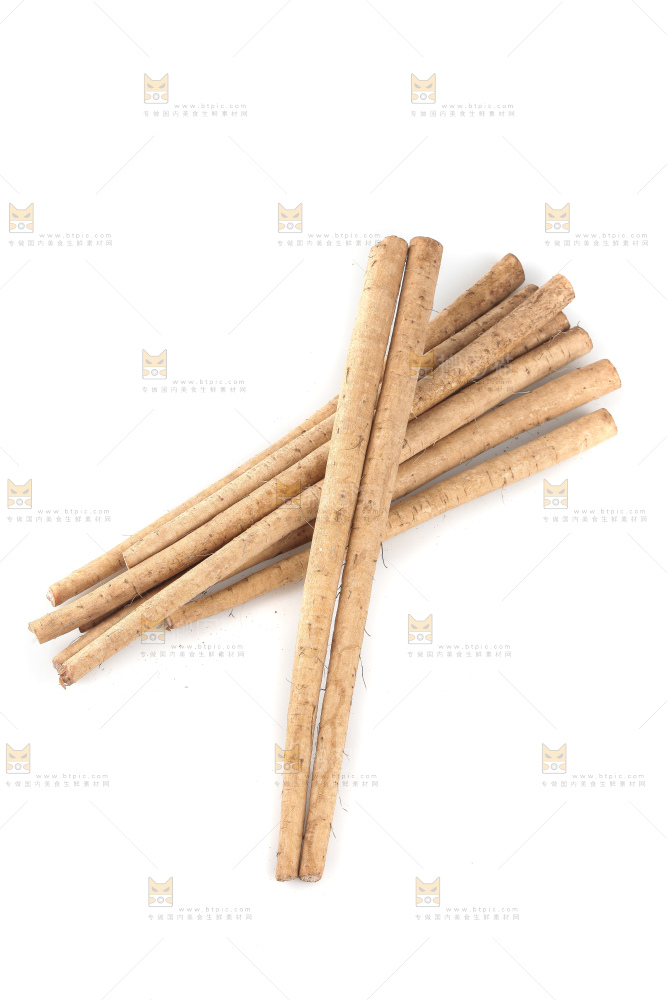 白底上的牛蒡根