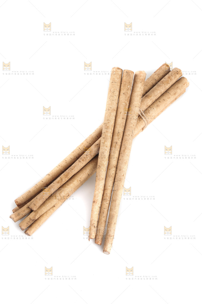 白底上的新鲜牛蒡根