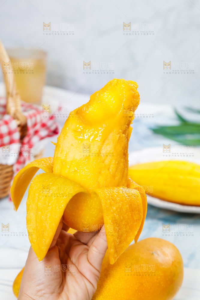 手里拿着金煌水仙芒