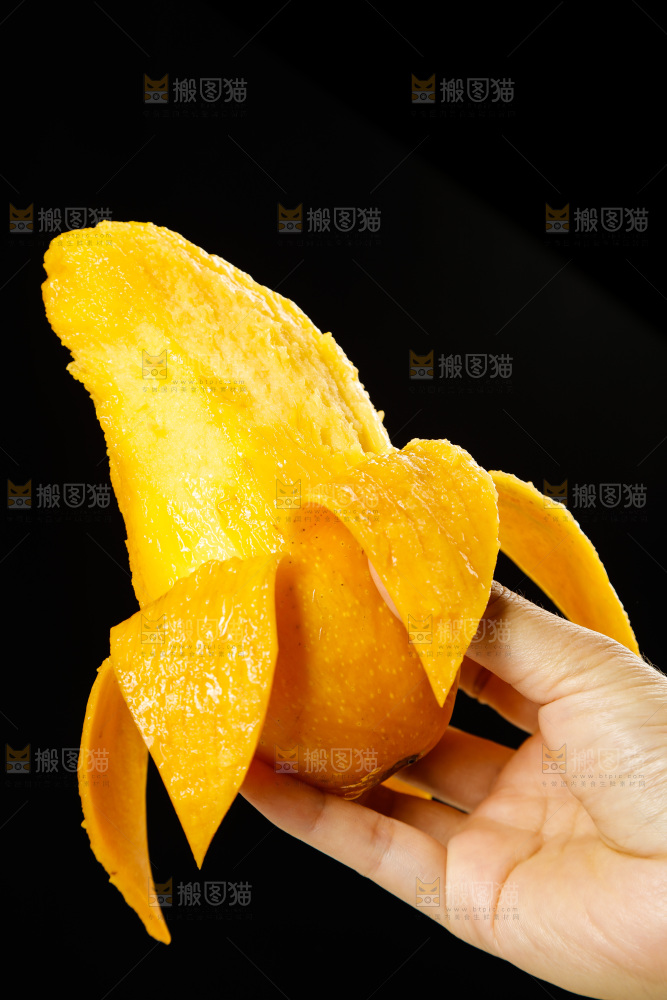 手里拿着金煌水仙芒