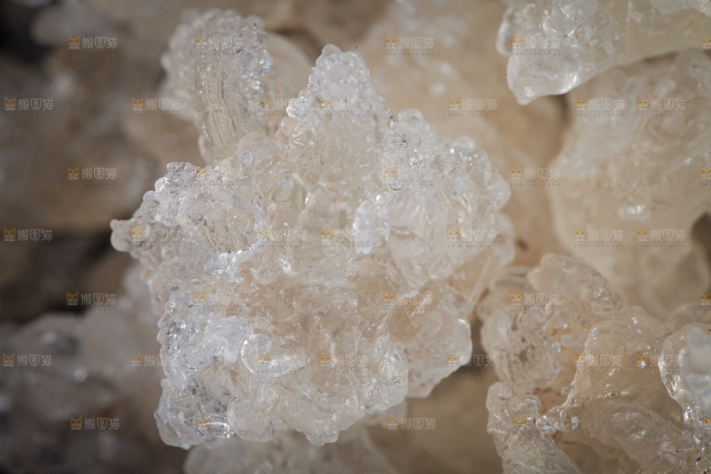 雪燕纹理