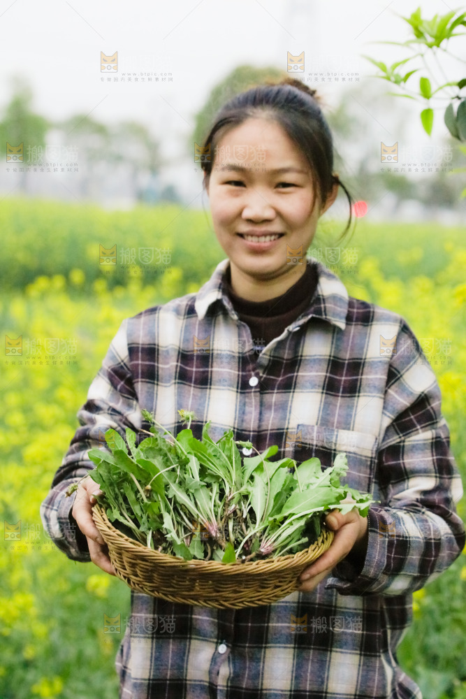 女人手里端着一篮蒲公英
