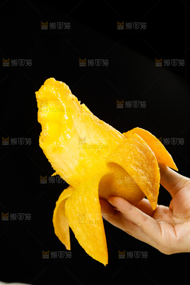 手里拿着金煌水仙芒