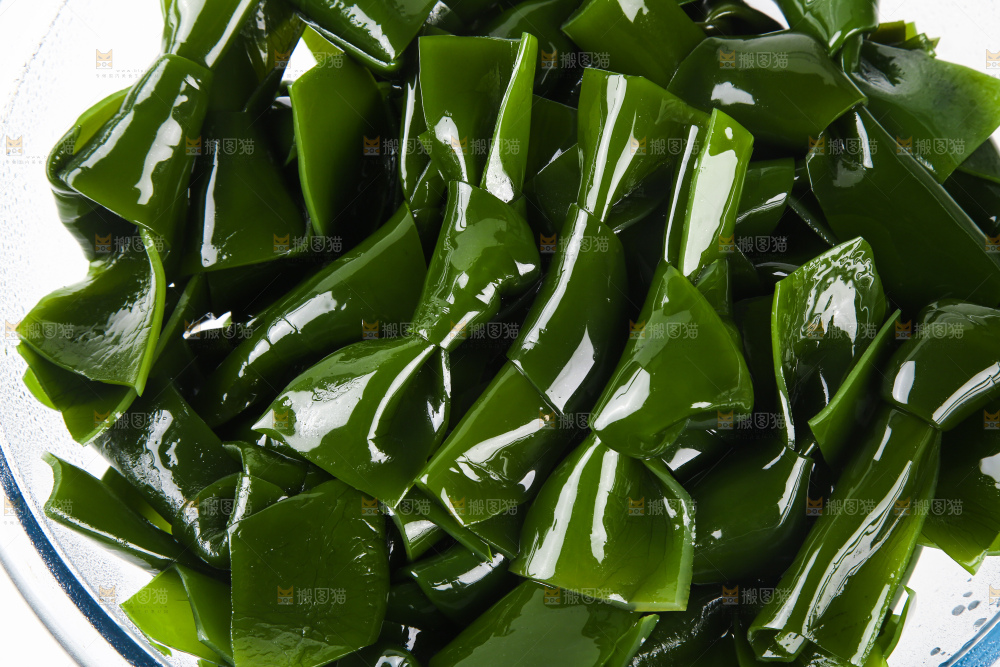 海带结特写