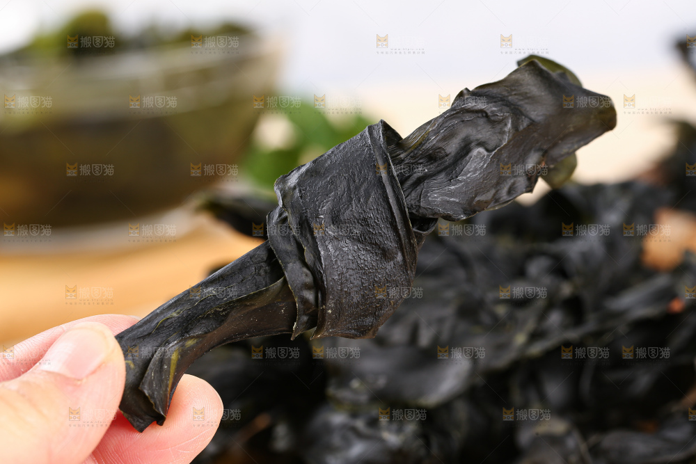 手上拿着海带结