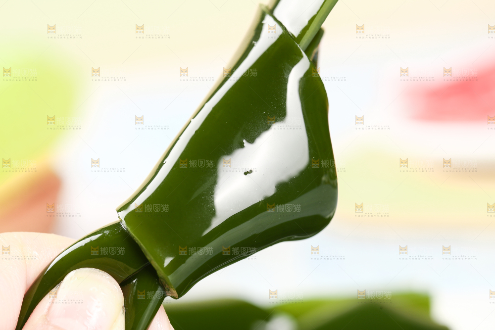 手里拿着海带扣