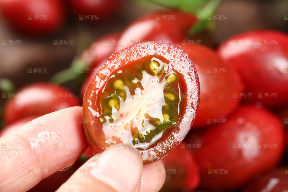 手里拿着珠珠小番茄