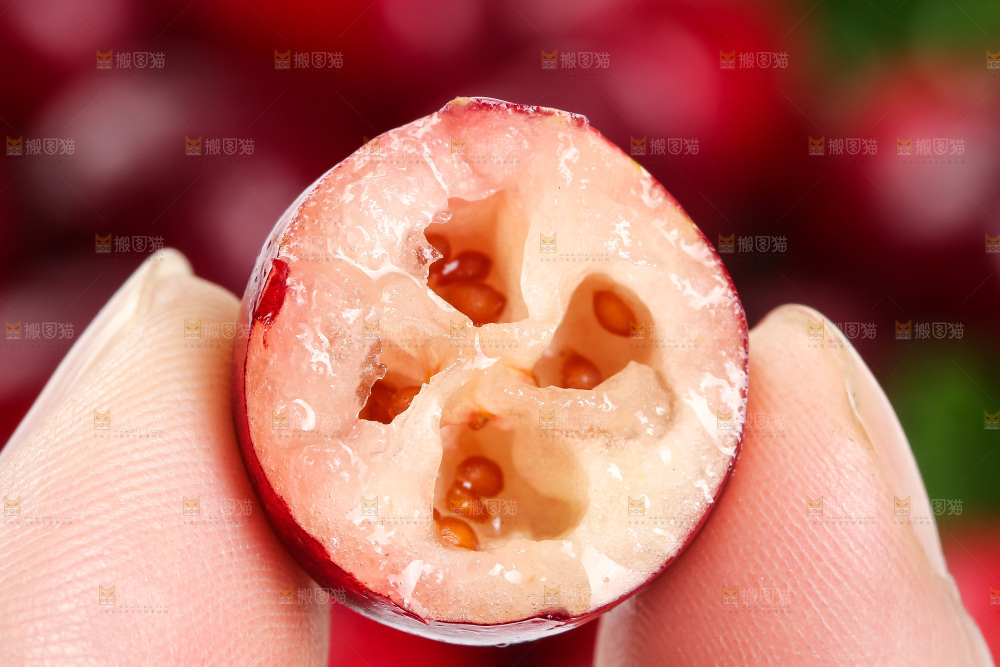 手里拿着蔓越莓鲜果