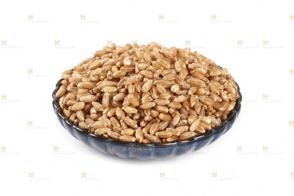 白底上放着一碗小麦
