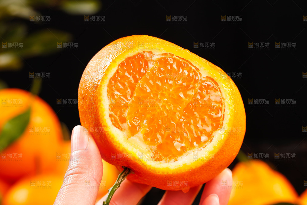 手里拿着春见耙耙柑