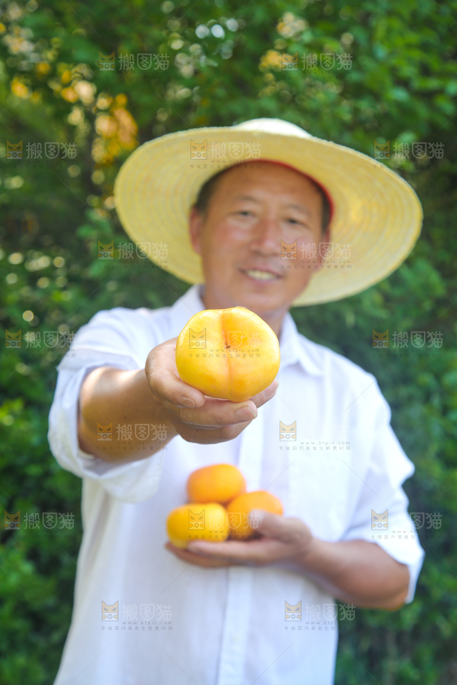 农民手上拿着的黄油蟠桃