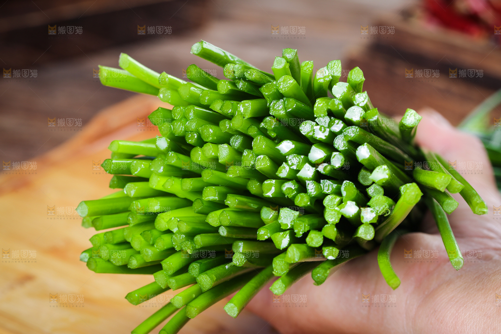 手拿着韭菜苔
