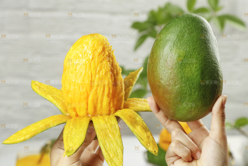 手上拿着攀枝花凯特芒