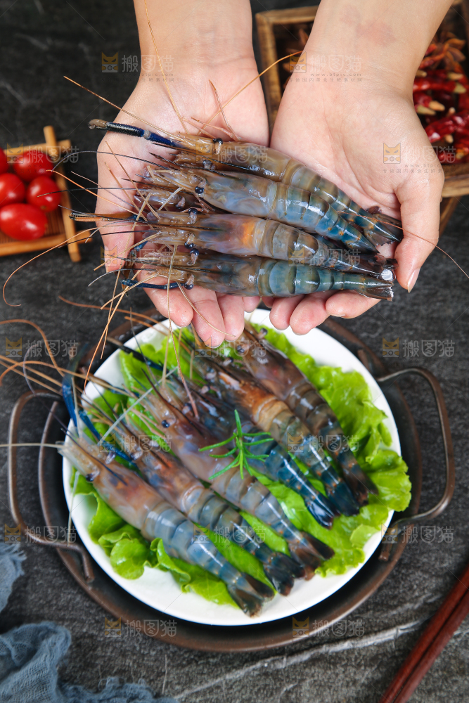 手上捧着罗氏沼虾